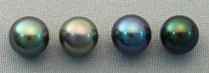 Titanium/Niobium Japanese Satlwater Akoya Round Peacock Pearl Earrings