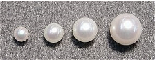 Titanium/Niobium Japanese Satlwater Akoya White Round Pearl Earrings