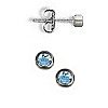 Highest Quality Lab Grown Birthstone Gems in Titanium Cup & Post Earrings