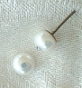 Genuine White Cultured Pearls Allergy Free Earrings